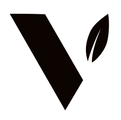 Vthinkers